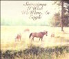 Bill Callahan - Sometimes I Wish We Were An Eagle