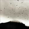 Kris Drever - If Wishes Were Horses