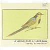 A Hawk And A Hacksaw - The Way The Wind Blows